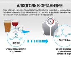 Чи можна пити спиртне на дієті: алкоголь і схуднення